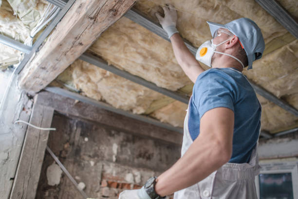 Best Insulation for Specific Applications in Millis Clicquot, MA